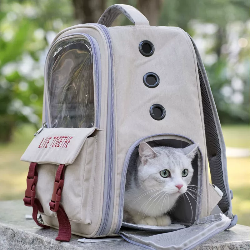 Handheld portable space winter keep warm backpack to go out, worn on the shoulder