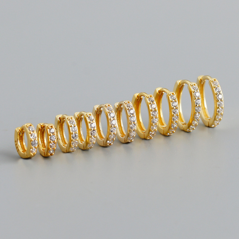 Eh1265 Cross-Border European and American Zircon Circle-Shaped Stylish Fashion S925 Silver Earrings Multi-Size Earrings for Women