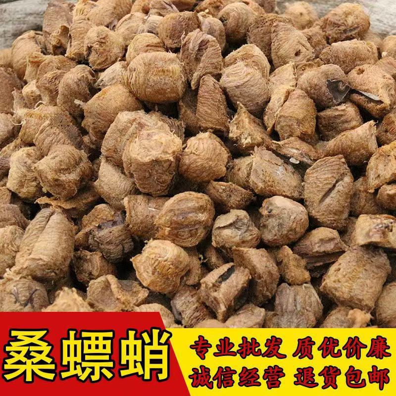批发大棉生桑螵蛸螳螂子桑蛸刀螂子棉熟桑螵蛸便宜散装