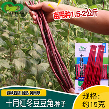 ʮ�¼t�������ǷN�� �r��˵ش��ﲥ�ܶ����M�׷N�t������