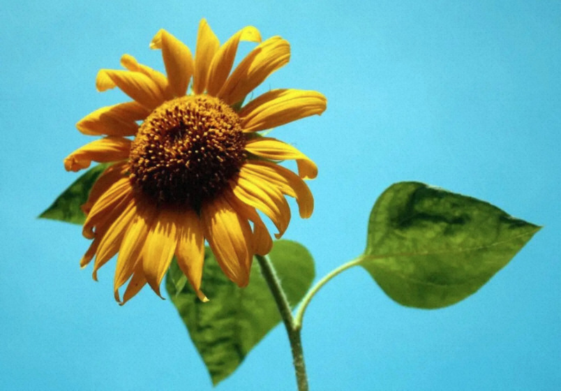 测试品P礼品创意创意包装礼盒精美