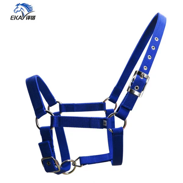 25mm wide thick PP webbing to pull the bridle, silver belt buckle, metal eye buckle. LT2001