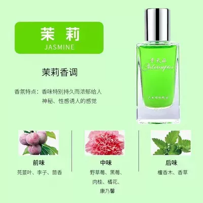 Car Perfume Aromatherapy: Personalized Car Air Conditioner Aromatherapy - 30ml-jasmine-l-refill