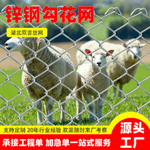 防锈镀锌铁丝网钢丝网户外围护栏网家用养殖牛羊拦鸡网菜园勾花网