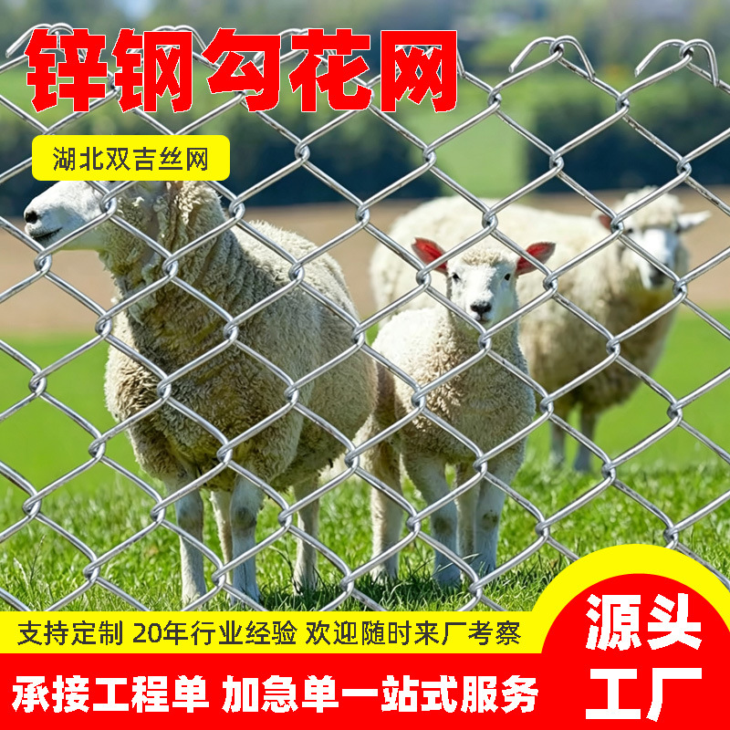 防锈镀锌铁丝网钢丝网户外围护栏网家用养殖牛羊拦鸡网菜园勾花网