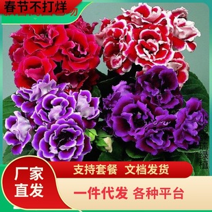 һ�����l�ذ����ͩ���縻�Fܽ�ػ����҃��^�p���Ԏ�����ֱ�l�ļ�