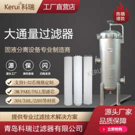 大通量过滤器大流量滤芯过滤机一级二级RO反渗透精密保安过滤设备
