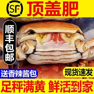 �зһ��Ԫз��з�M�Sȫĸ���lз��зëзˮ�a�������l