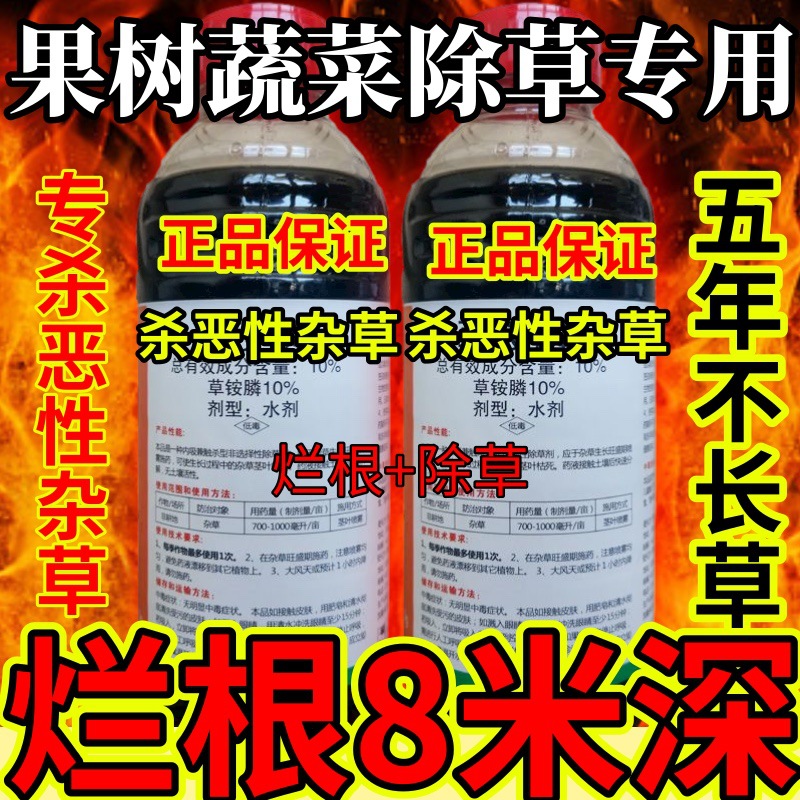 杀草快高浓度精草铵膦铵盐果园小飞蓬各种杂草果树蔬菜除草专用
