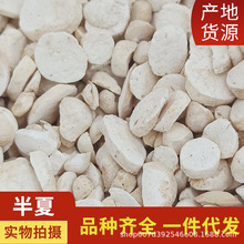 半夏清半夏道地药材 旱半夏法半夏各种规格现货供应品种齐全