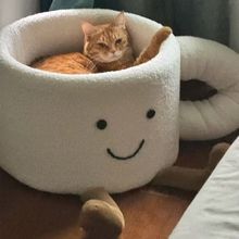 ؈CůWtȱ؈Cĳͬ޸Cˮɐֹ؈ݰ]