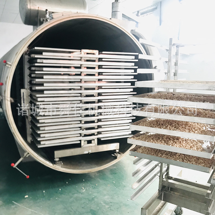 商用大型真空冻干设备 化工液体低温脱水干燥机 宠物粮鸡胸肉冻干