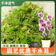 ���ֶ��ˮ̦ˮ�ݺ����m�m���������FƤʯ���Nֲ���|������������