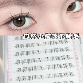 氧气感淡颜纯欲下睫毛猫系手画感漫画感浓密轻斜飞嫁接伪素颜