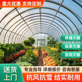 种植大棚膜蔬菜温室骨架全套单栋养殖多肉花卉草莓葡萄农用