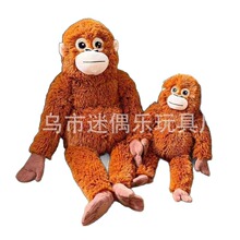 �羳40cm60cm������ë�q��߿ɐۺ���ë�q��ż���з����������