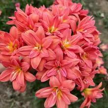 �L���m �ذ� ���m �[�m ��ɏ �²��m �²�ɏ �̨ С�^ �G�� �N��