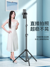 ���_���]��2025�¿��֙C֧��ֱ�����_���a����Ĕz�����������ėU