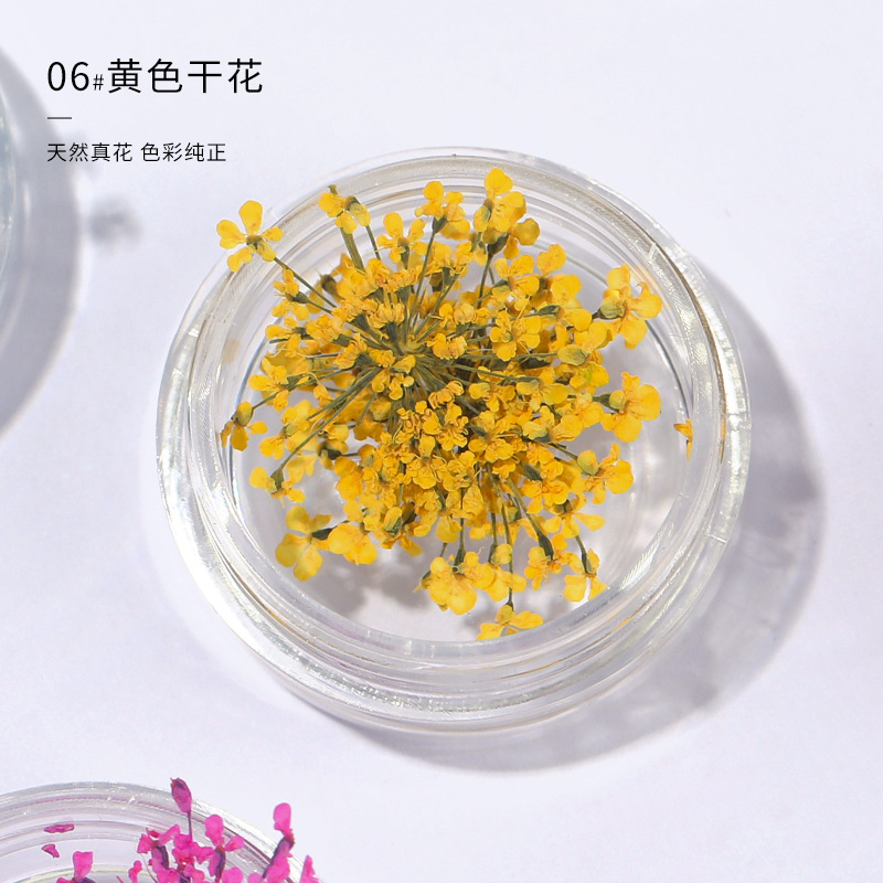 노란 레이스 꽃 (3 박스)