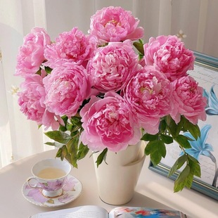 62CM2�^ĵ�������滨���Fĵ������ș�ٻ��b[����c����DIY�廨