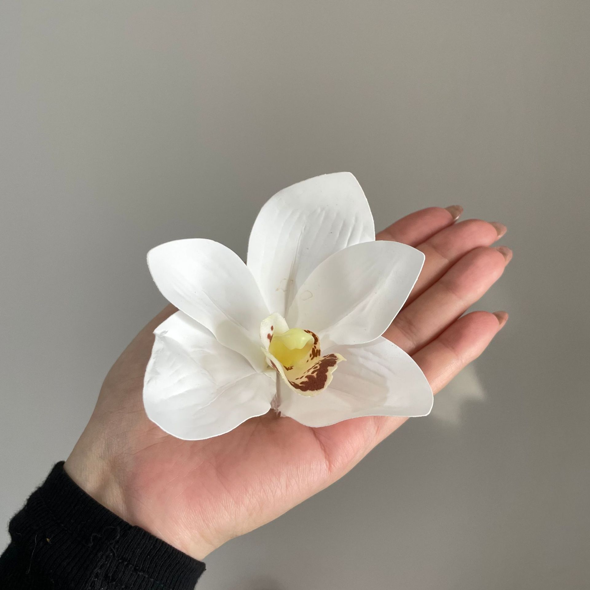 하얀색