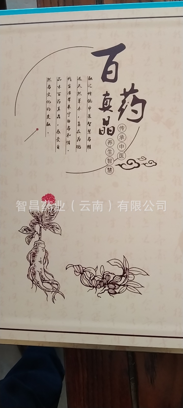 bf6846c557de73799c657f66dd727e