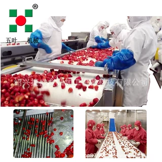 果蔬速冻前处理生产加工设备 菠萝芒果块速冻机 食品速冻前处理