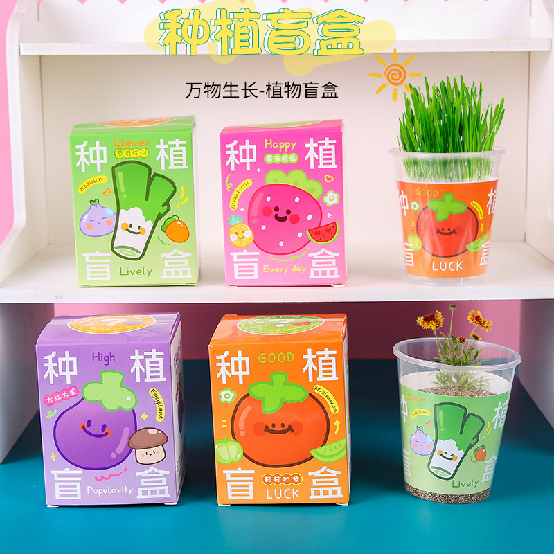 子供の鉢植えの植物の盲目の箱の新型の幼稚園の緑の種のテーブルの置物の学生の賞品の贈り物の小さい盆栽|undefined