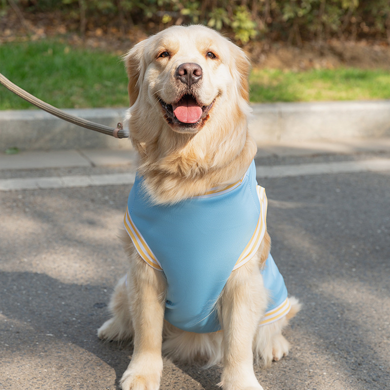 Chaleco de perro grande de primavera y verano Delgado transpirable ropa de dos patas mediano perro grande Golden Retriever Labrador ropa para perros mascotas