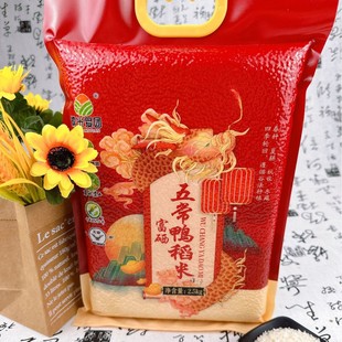 5�︻���峣��������հ��b�͑������Y�e�փ��Q�Y���N�Fُ���
