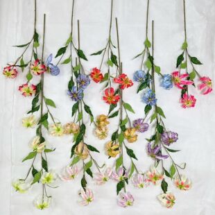 �������ٺϻ���c�û��Ƶ��̈��b�������߼���ֱ���g�廨