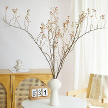 ɽ�w����Ȼֲ��ɻ������͏d�[�O�����L�廨�ɘ�֦�b[����ֱ�N