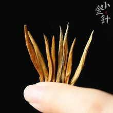 2025²~PctСᘹŘѿtɢb