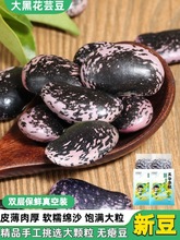 云南大肾豆黑花芸豆农家产牛眼豆黑云豆子杂粮大紫花腰豆类大批发