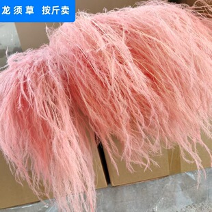 ��������횲�ϵ�Ҿ��bW�t�����ɻ���Ļ�c�A����Ů�����r��
