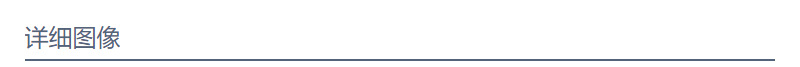 详细图像.png