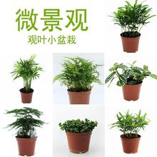 ���^�^�~С�~�_�h�Ʉ���С��������Ҭ����βާ��ˮ�����������