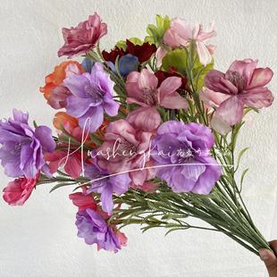 ���滨��������5�^�yɏľ�Ȼ����滨��c���滨�żҾ��b[��