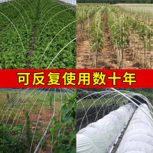 新型拱棚支架地膜防虫大棚高强杆子2米4弓条拱形棚架菜棚温室架杆