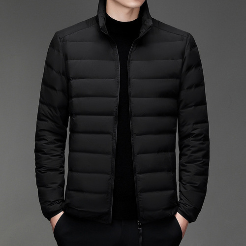 New off-season casual lightweight down cotton jacket for men, white down insulated stand-up collar short down jacket