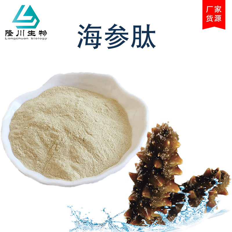 海参肽粉 98% 海参肽粉 海参提取物 海参小分子蛋白肽粉