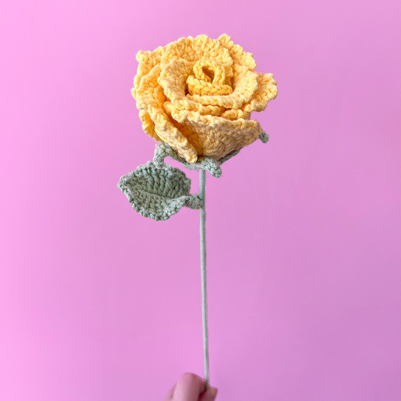 Simple Style Classic Style Flower Dried Flower Imitation Plants display picture 2