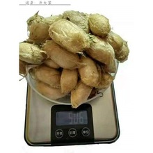 2025东北特产鲜活蚕蛹带壳活蚕蛹新鲜柞蚕大茧蛹蝉蛹黑黄蚕蛹包邮