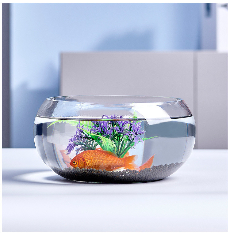 888a694b-c487-4756-bea2-ccb0b2ff83a2.jpe