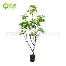 ���W�������_ľ�����҃ȿ͏d�ҾӼ�ֲ���Z�Ʋ�����b[��