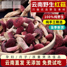 ϼt؛ɽҰtخaʳþҜaʳ