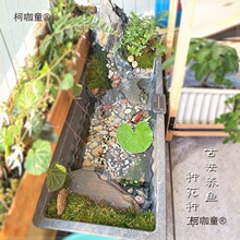 �R��ˮ���~�������L���λ����̨���˯ɏ�ɻ���ŷ��B�~����̫��