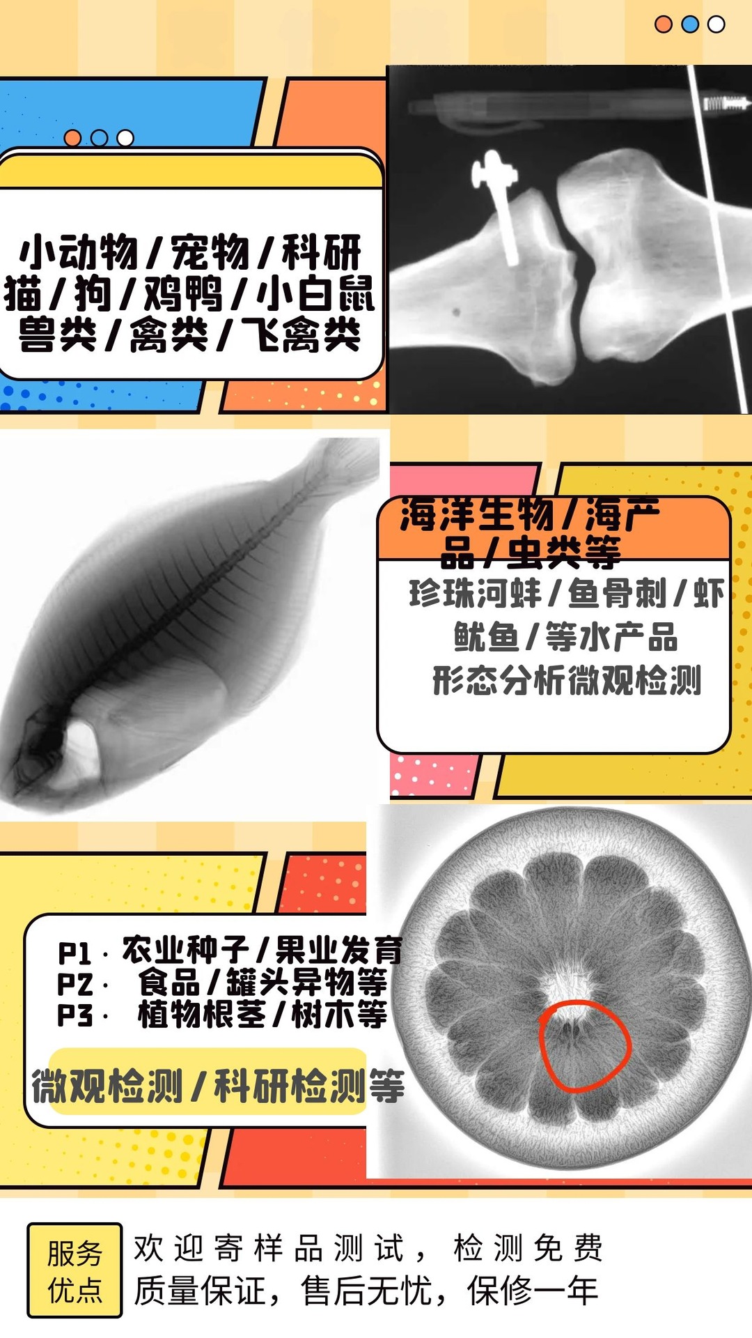 952663fdbeb1e2a0b8545979932ba9