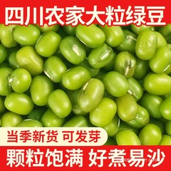 緑豆新商品500g良質縁豆非東北緑豆発芽緑豆スープ専用雑穀粒大粒禄豆