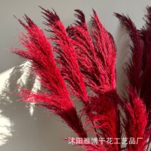 �tɫ�JȔȾɫ�F�U�JȔ��c���Ļ�Y����ܛ�b��ˇ�������øɻ��F�U